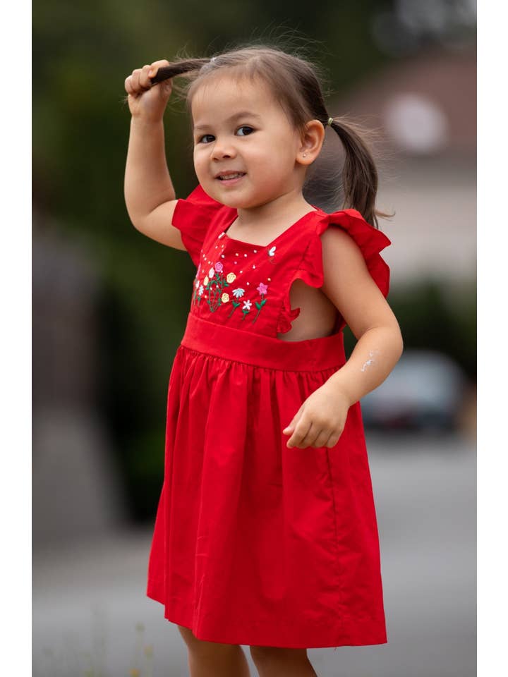 Little Girls Hand Embroidered Dress