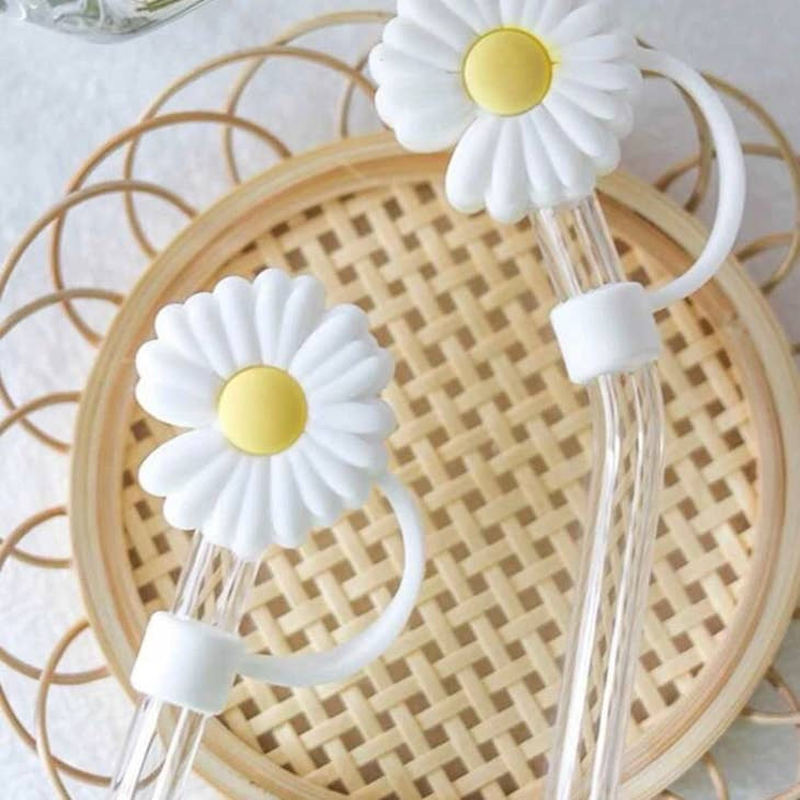 Straw Covers