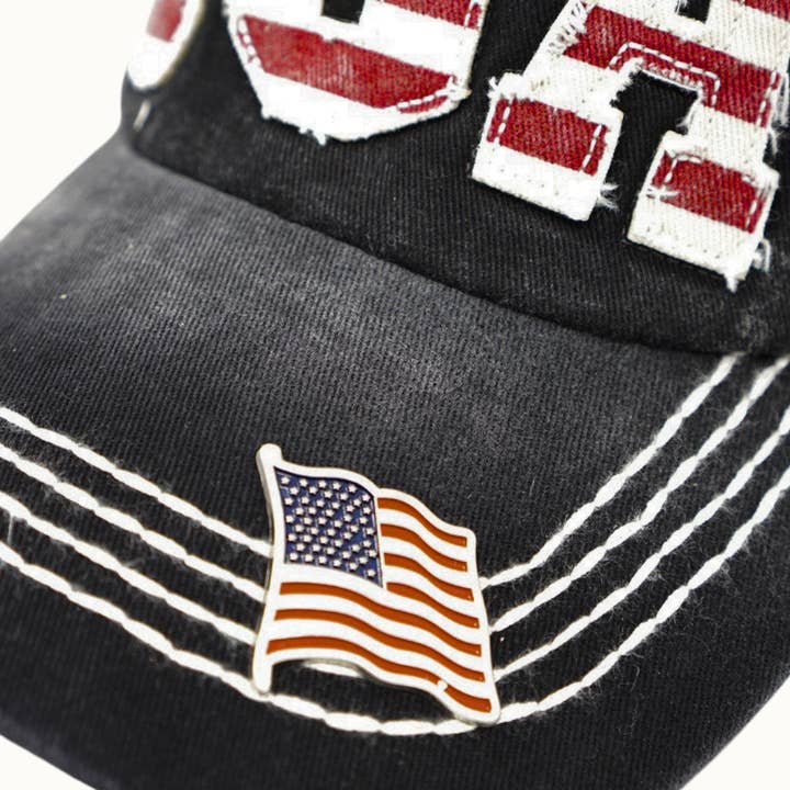 USA Dad Hat