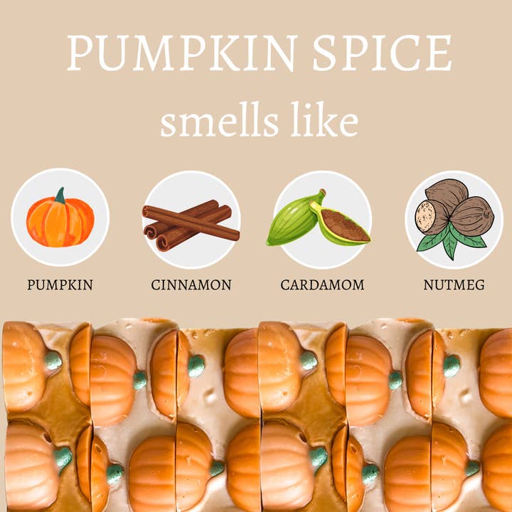 Center Street Soap Co. Pumpkin Spice Bar Soap