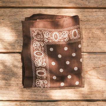 Paisley Border Square Bandana